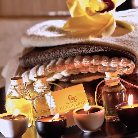 Hotel Gonluferah Thermal Bursa