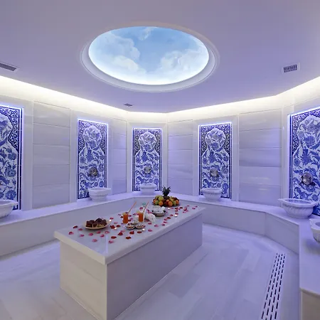 Gonluferah Thermal Hotel 4*