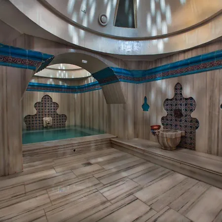 Hotel Gonluferah Thermal 4*